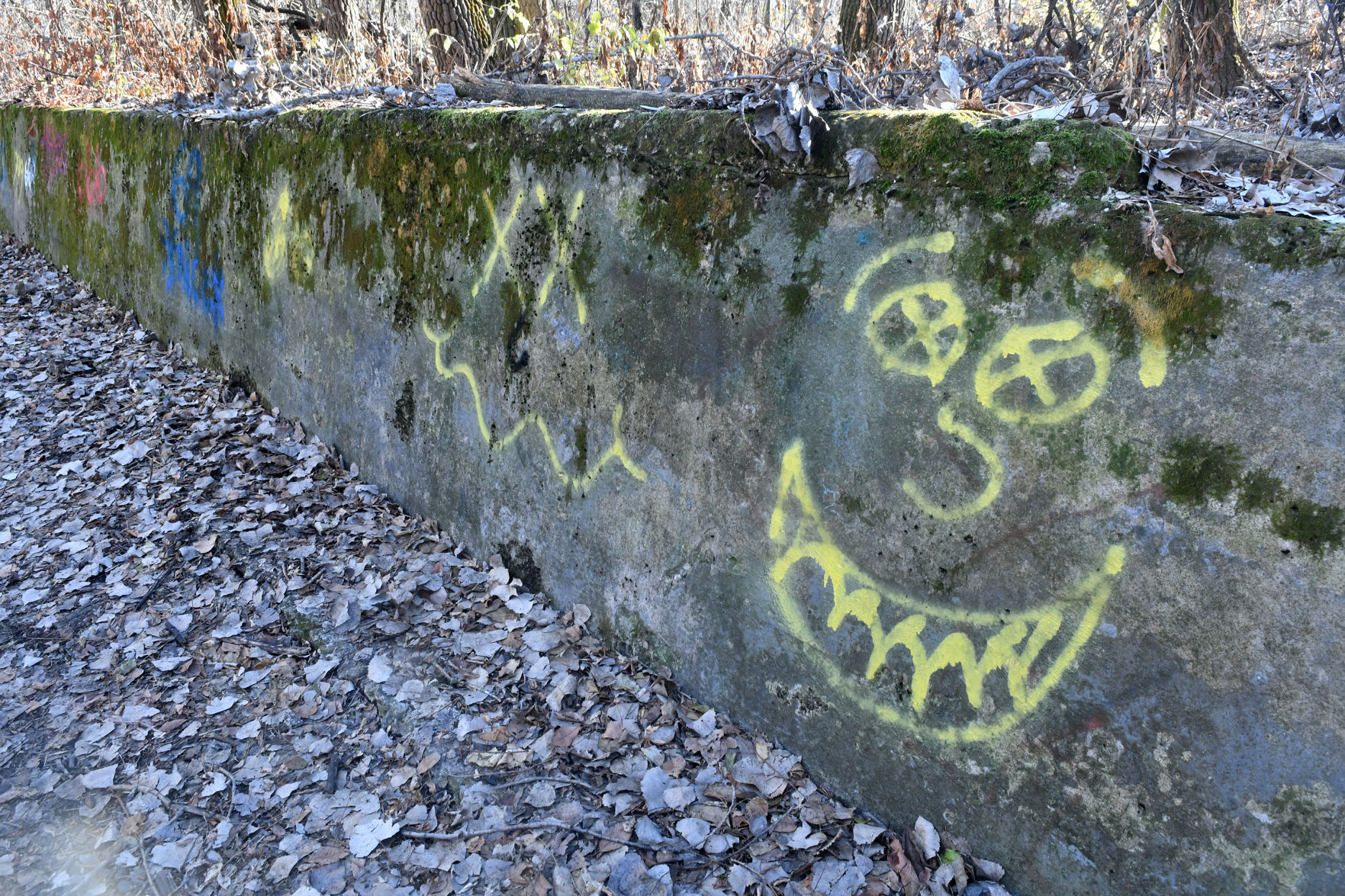121020-qc-nws-sylvan-068